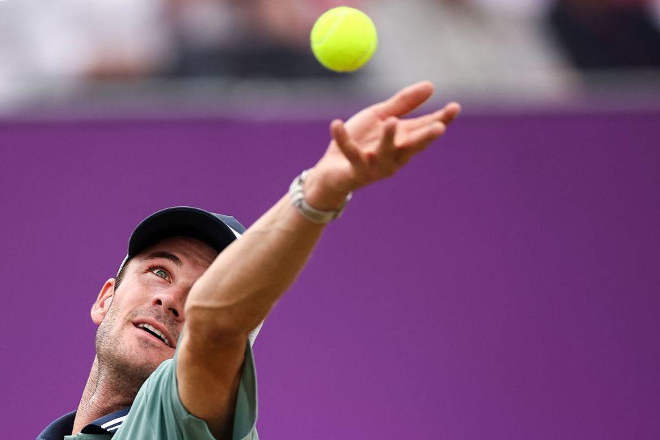 案例分析 案例分析